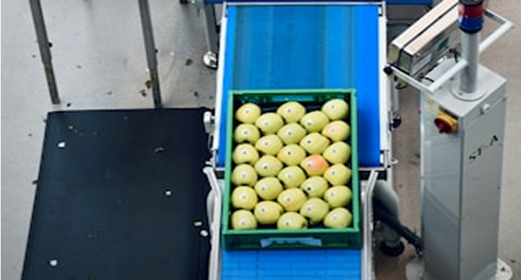 agricultural product